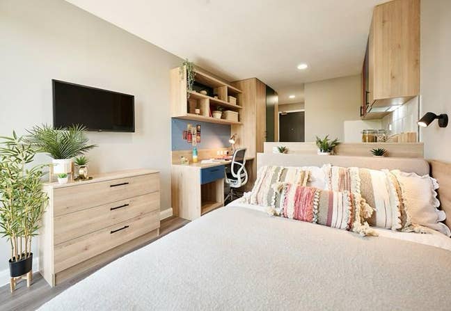I need a flatmate for my room for dual occupancy Main Photo