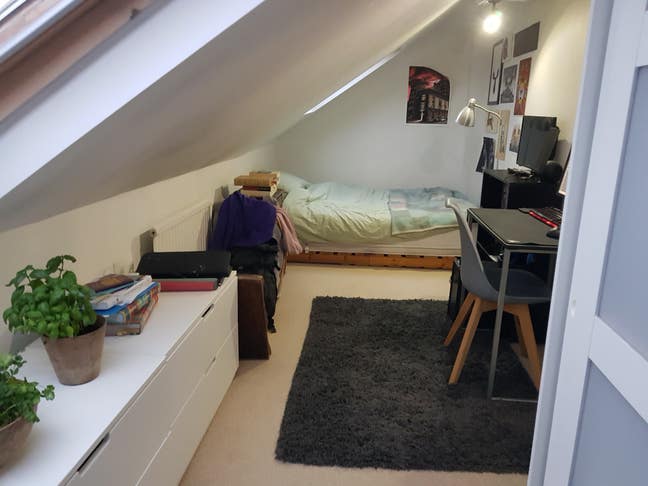 Single room with huge garden and  reception Main Photo