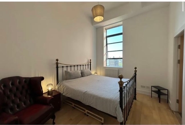 Looking for a new flatmate for me and my cat Main Photo