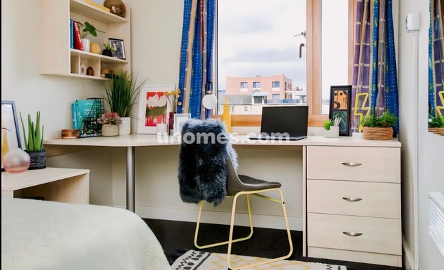 Subletting a student accommodation near UCL Main Photo