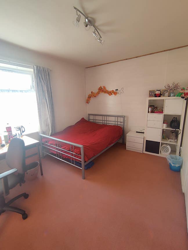 Spacious cozy room to rent Main Photo