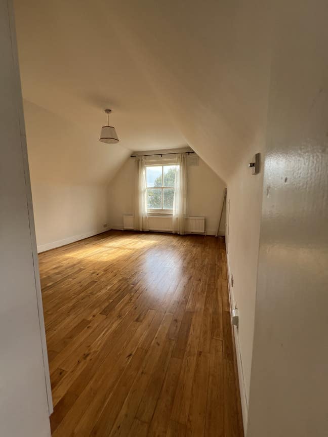 One room in lovely spacious flat in Herne Hill Main Photo