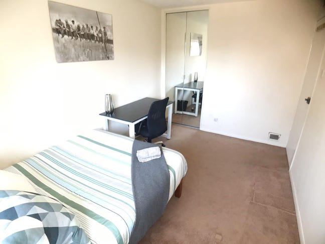 STRIKING Double Room in a Contemporary Flat Main Photo