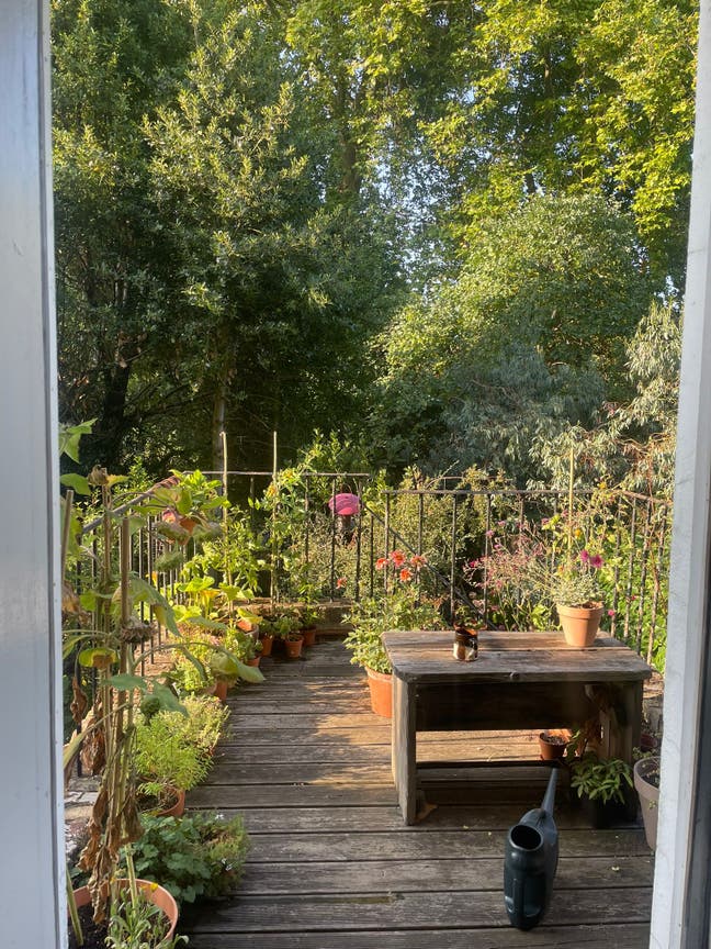 Leafy double room in Haggerston Main Photo