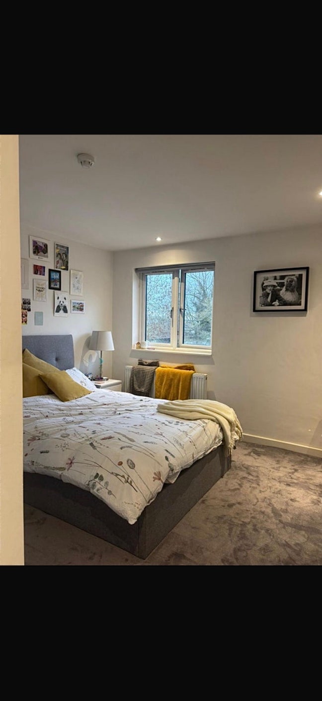 En-suite room available in friendly house share  Main Photo
