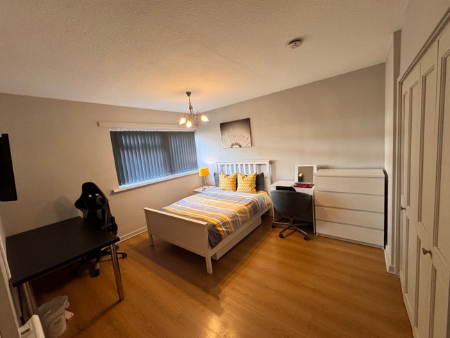 2 VERY LARGE double rooms - 4bed flat Shirley Main Photo