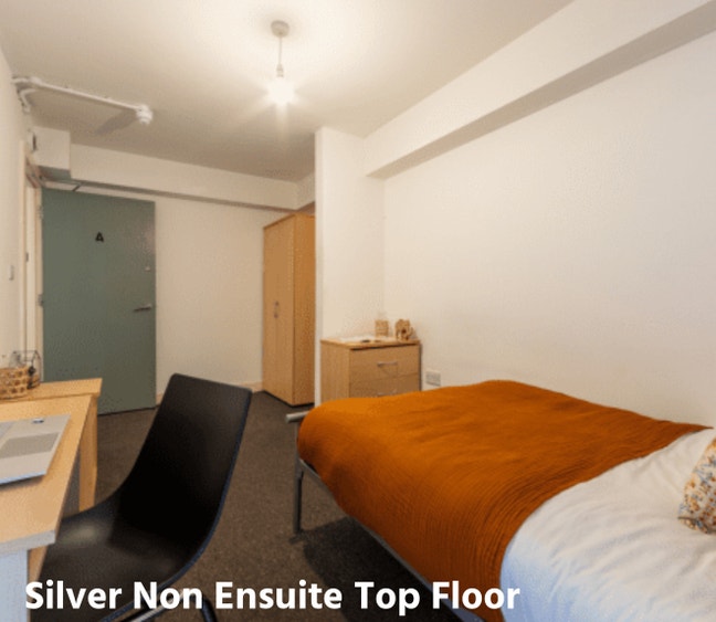 Room Available – Replacement Needed Main Photo