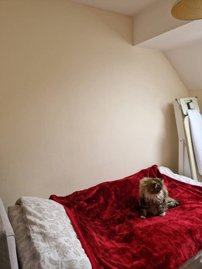 Single Room In Friendly House - Calcot Main Photo