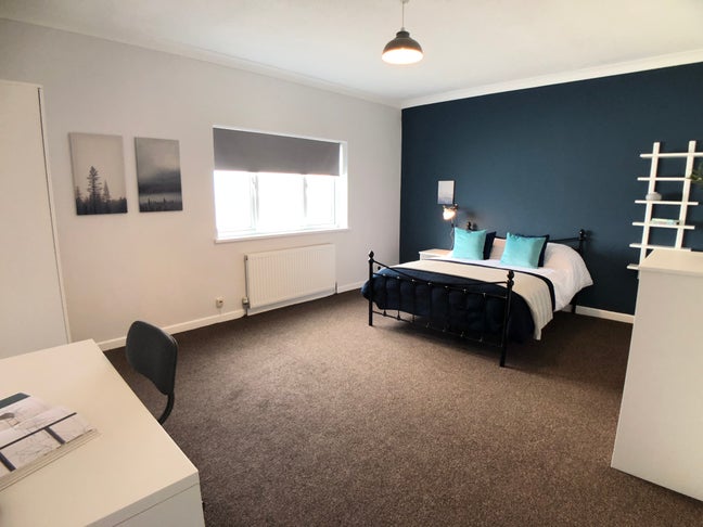 Premium and Spacious House for Professionals Main Photo