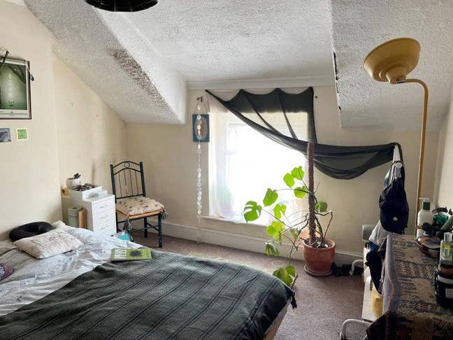 1 Double bedroom Available from 1st November  Main Photo