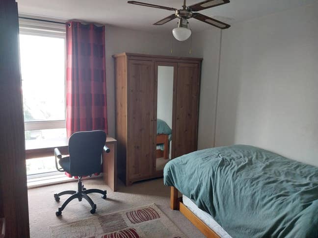 Quiet Veggie with single room spare for rent. Main Photo