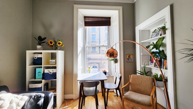 Seeking new professional flatmate by the Meadows Main Photo