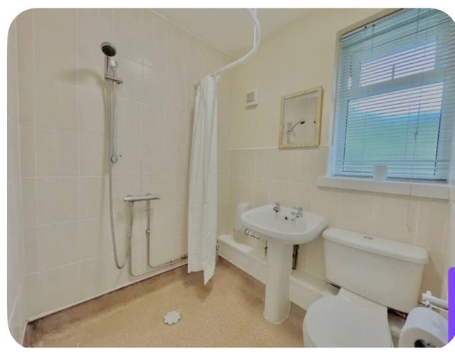 Room Available in Friendly House Main Photo