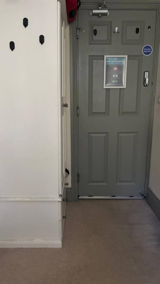 Looking for a flat replacement Main Photo