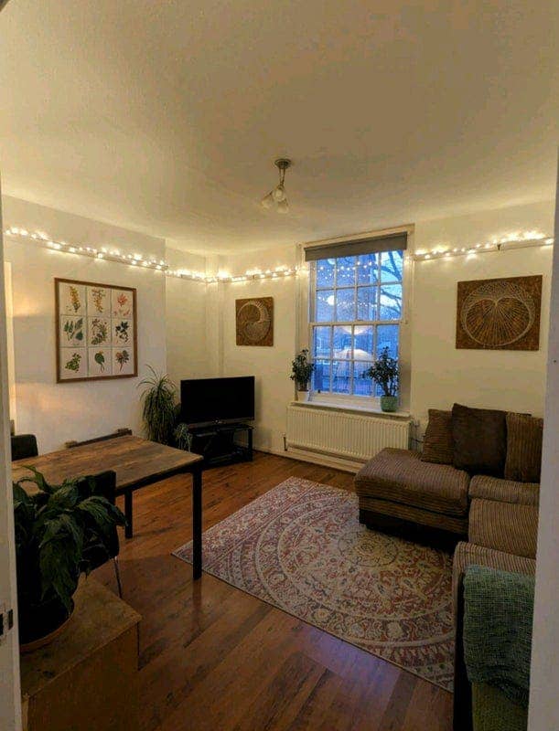 Large Room by Hampstead Heath in Friendly Flat Main Photo