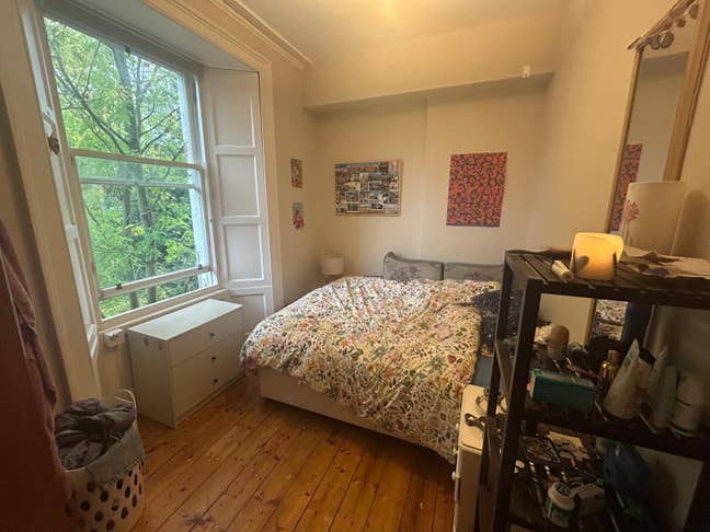 Double room in friendly Newington Flat:)  Main Photo