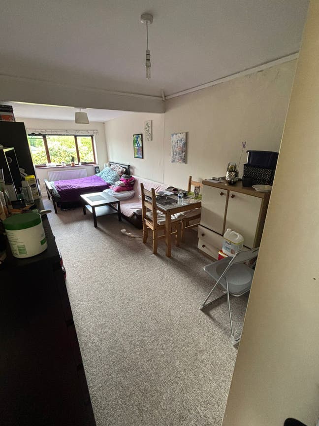 Large Room Available Main Photo
