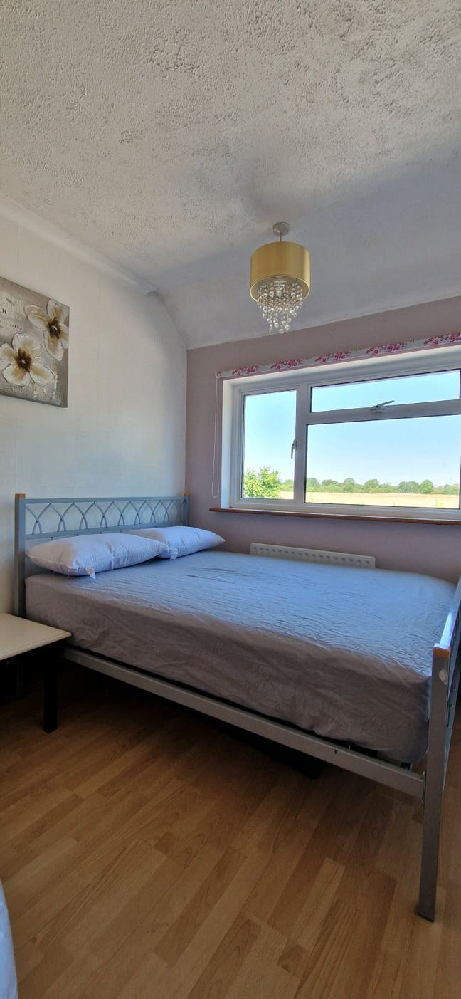 Double bedroom to rent Main Photo