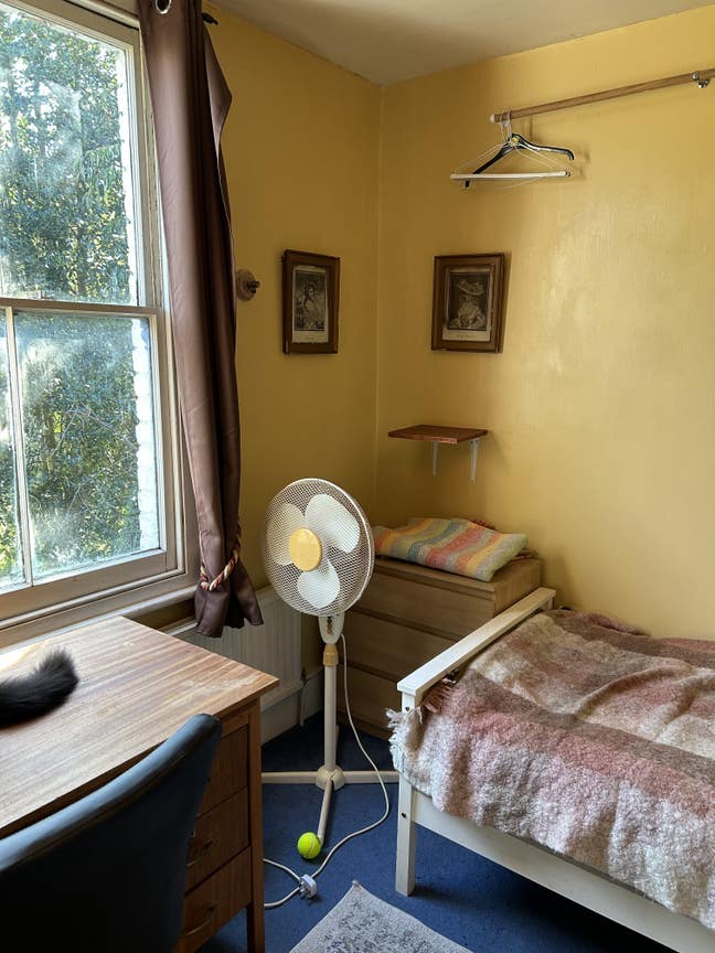 Single room in family home Main Photo