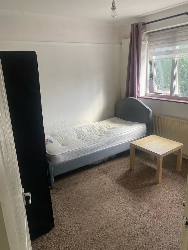 Room available  Main Photo
