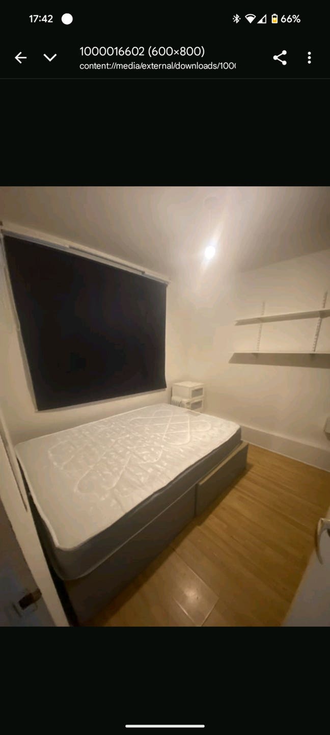 Single room for rent in Battersea Main Photo