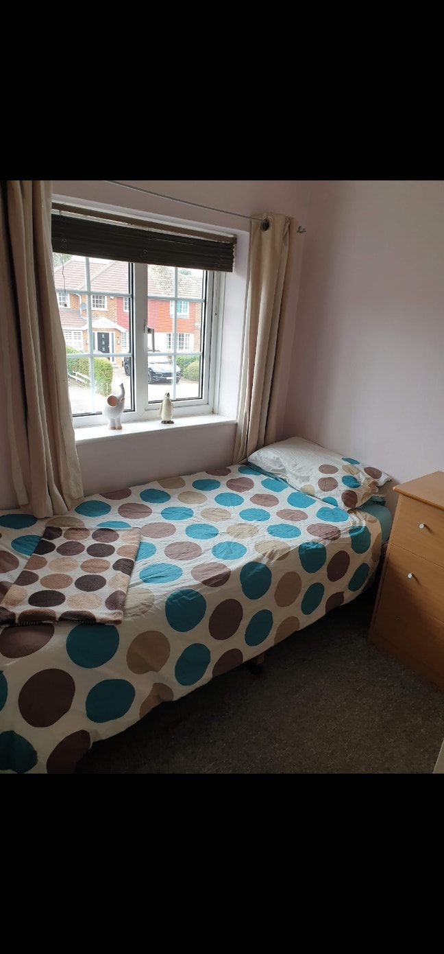 Single Room to rent  Main Photo
