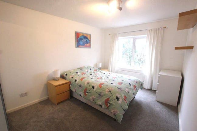 Large Double Room in Canada Water! Super Friendly  Main Photo