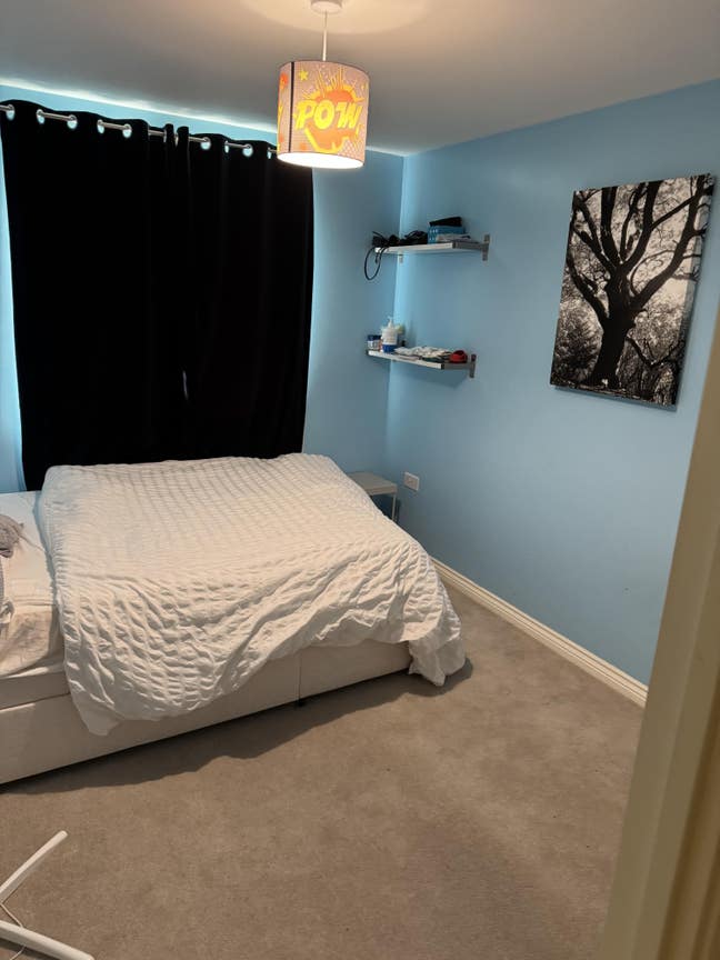 Room available for immediate move in  Main Photo