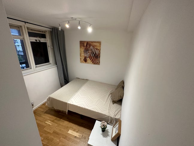 Homely Single Room in Battersea  Main Photo