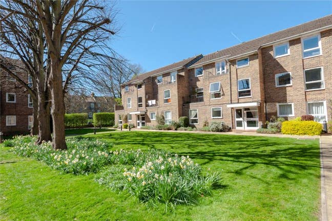 Double Room in 1bed flat Main Photo