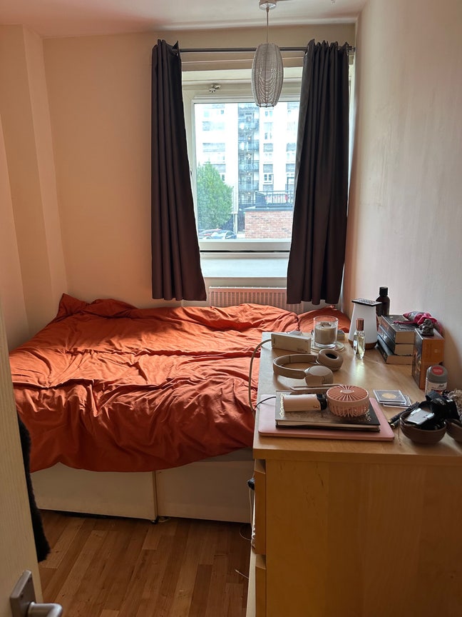 Lovely Southfields flat with lovely flatmates  Main Photo