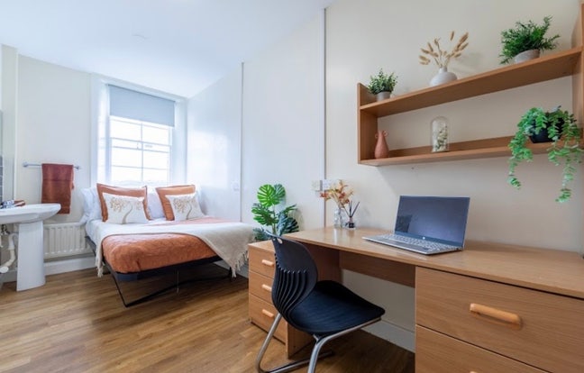 Single Room Available  NE1  Main Photo