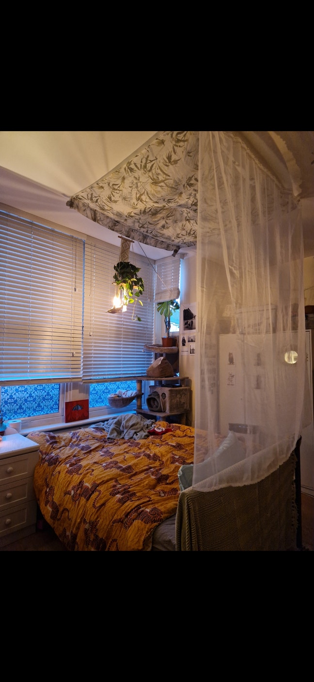 Beautiful spacious haven in a bustling area Main Photo