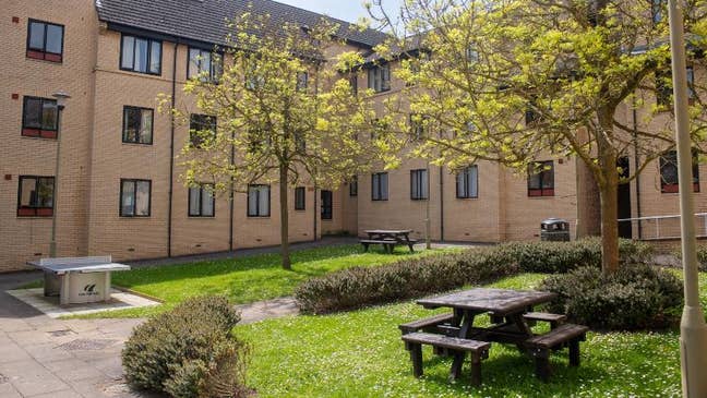 Single room available to let now for students.  Main Photo
