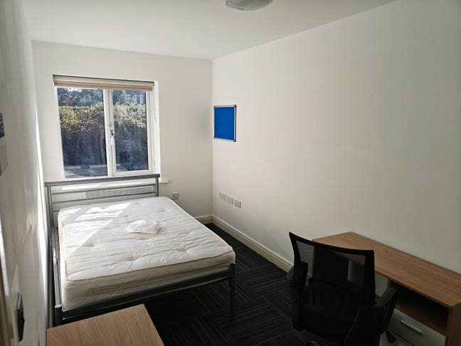 Gold Non-Ensuite at Moss Court Main Photo