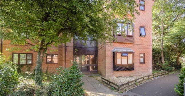Studio Flat to Rent - Available November  Main Photo