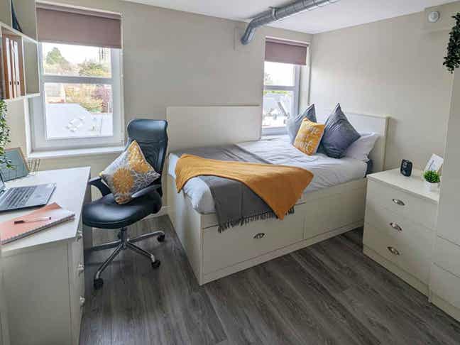 Room in Peterson Hall Dundee Main Photo