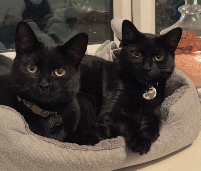 Double room available  Main Photo