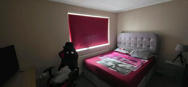 Room in a house with 2 little dogs Main Photo
