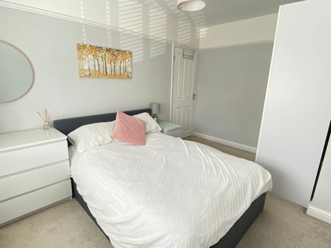 Female Professional House Share  Main Photo