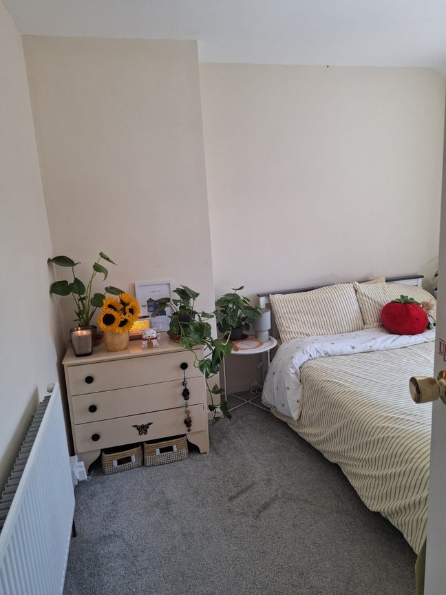 Room Available in Friendly, Social House Main Photo