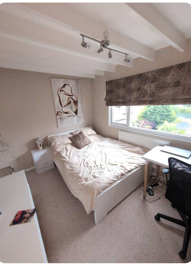 Room available in a beautiful house  Main Photo