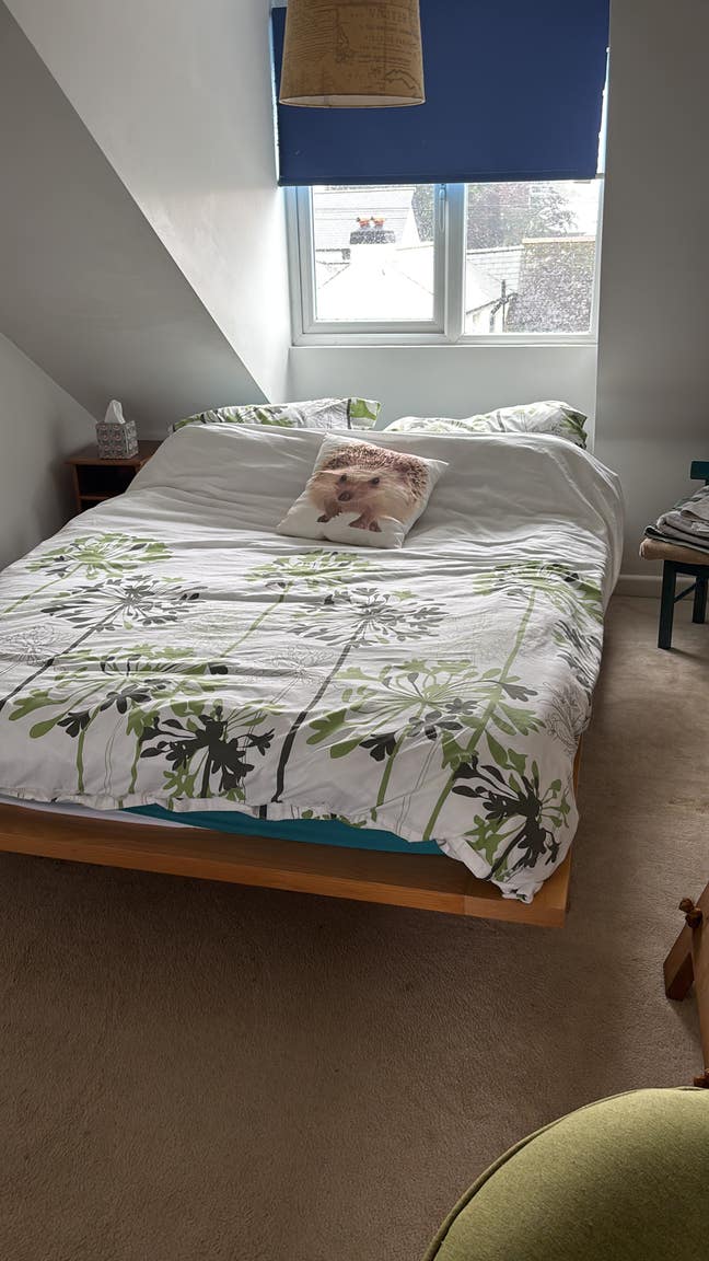 Double large room  Main Photo