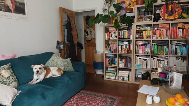 Lovely 1 bed flat in Homerton - garden & parking Main Photo