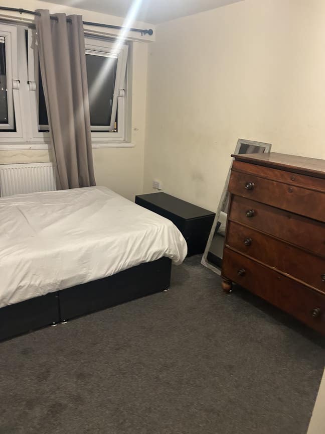 Bramley  Main Photo