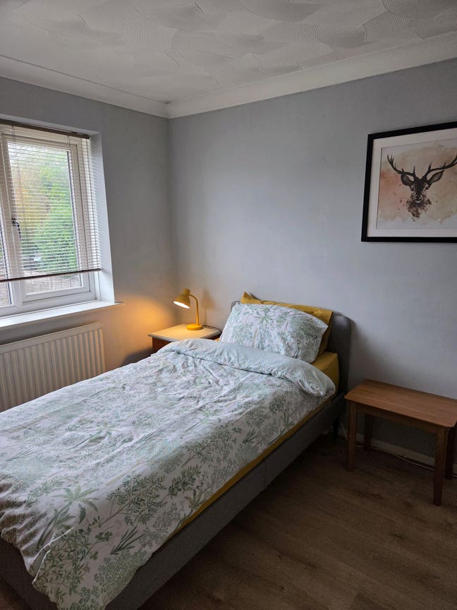 Spacious bedroom, separate lounge & own bathroom Main Photo