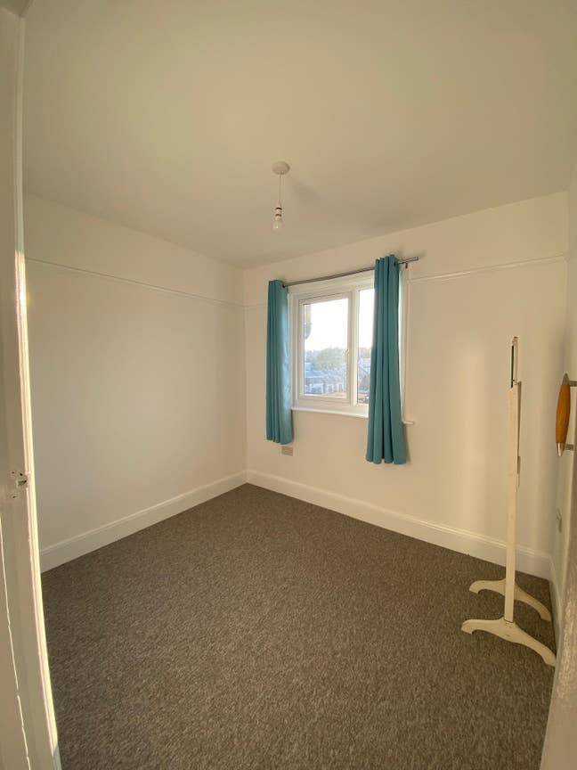Sunny single room available now! Main Photo