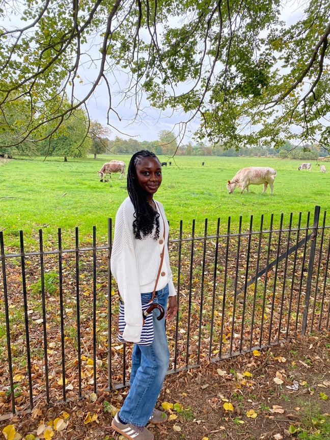 Young Professional Looking for flatmates/ room  Main Photo