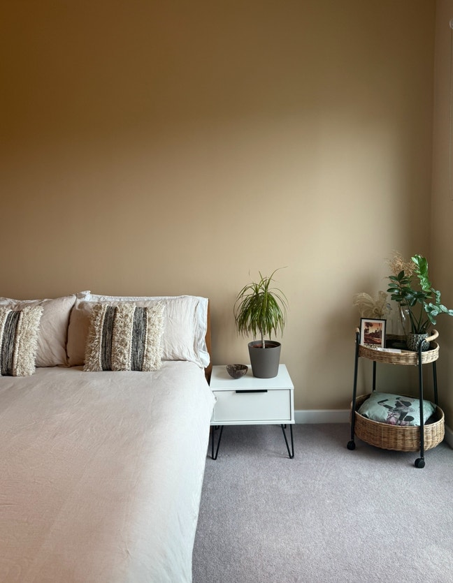 Double Bright Room in New Duplex - own bathroom  Main Photo