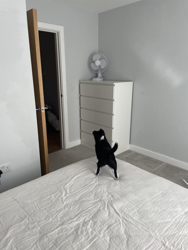 Double room available Monday - Friday only  Main Photo